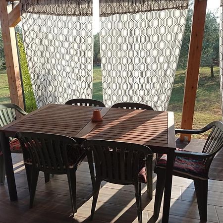 Nature Home Eco-Friendly Pet-Friendly Fažana Zewnętrze zdjęcie