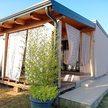 Nature Home Eco-Friendly Pet-Friendly Fažana Zewnętrze zdjęcie
