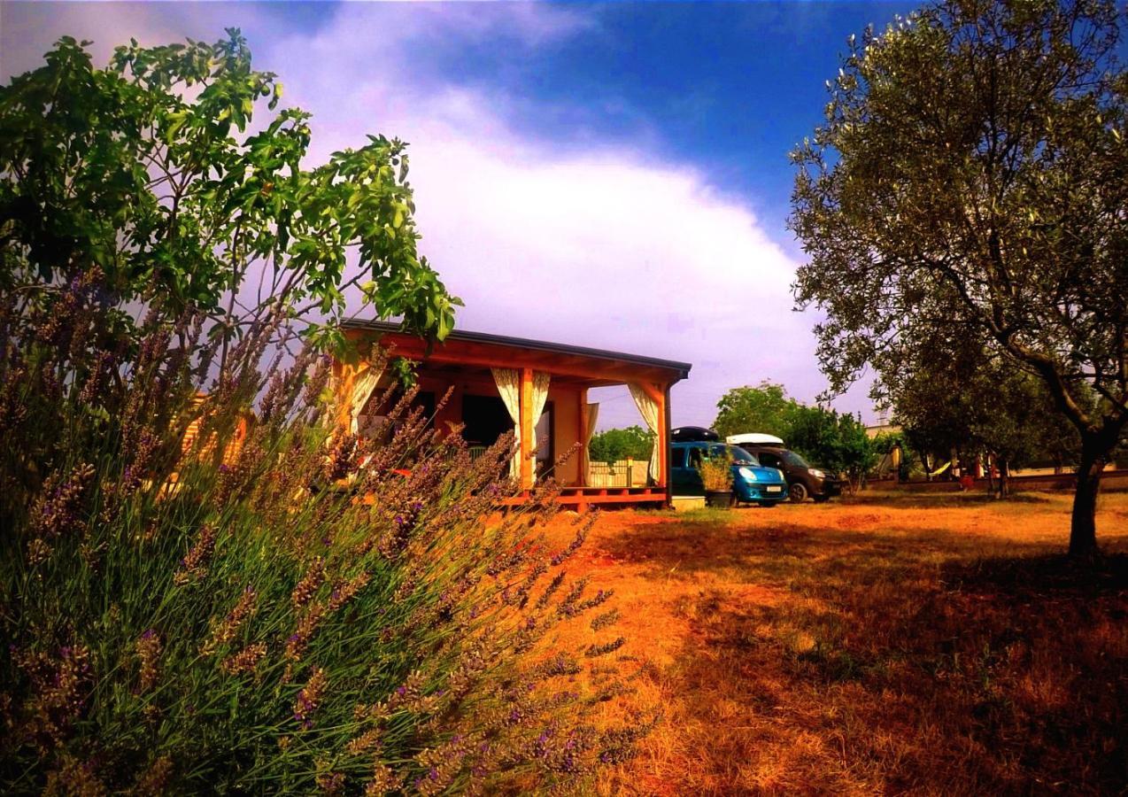 Nature Home Eco-Friendly Pet-Friendly Fažana Zewnętrze zdjęcie