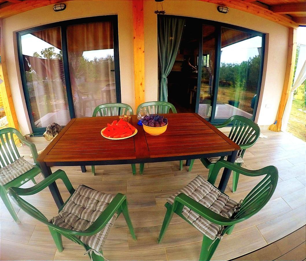 Nature Home Eco-Friendly Pet-Friendly Fažana Zewnętrze zdjęcie